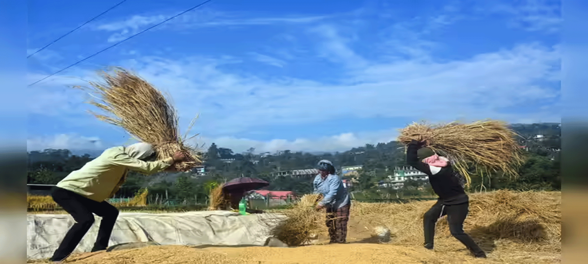 वाह सरकार! फसल नुकसान पर ₹3 से ₹21 तक की राहत, किसानों ने लौटाए चेक