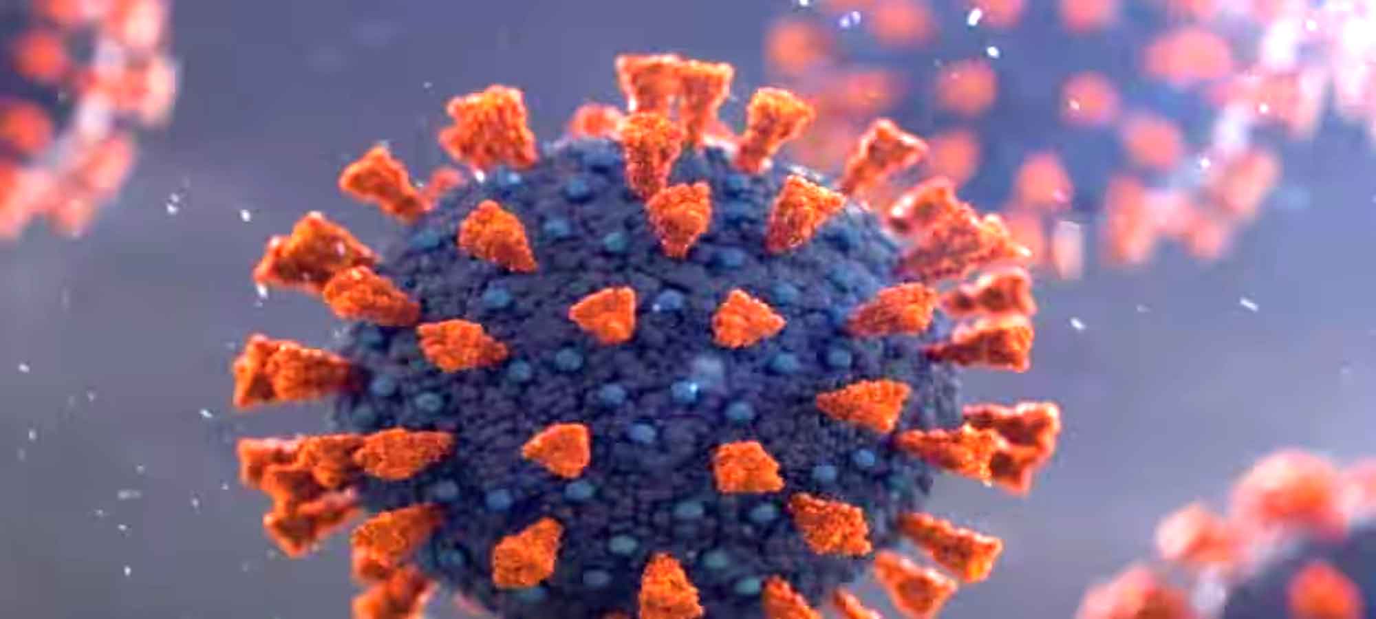 अमेरिका में फिर फैल रहा कोरोना का नया स्ट्रेन, बढ़ी चिंता: जानें लक्षण और सावधानियां